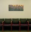thumbnail picture of Clinic interior (link)