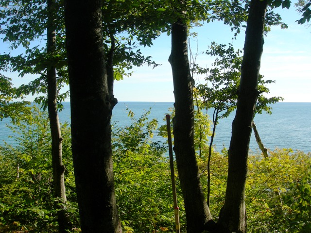 view through the trees looking out on Lake Michigan from high above