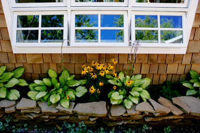 picture of lakeside custom home on O'Rourke Lake - this exterior photo is of the set of windows on the lower portion of the large set of triple-windows on the front elevation, with raised flower bed below with black-eyed susans and flowering hostas against natural cedar siding